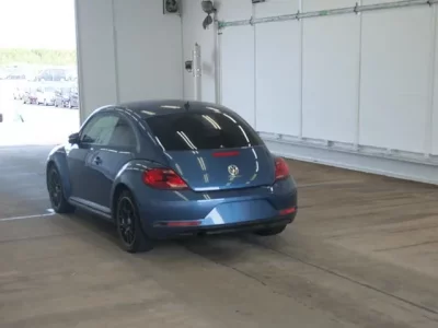 Volkswagen THE BEETLE