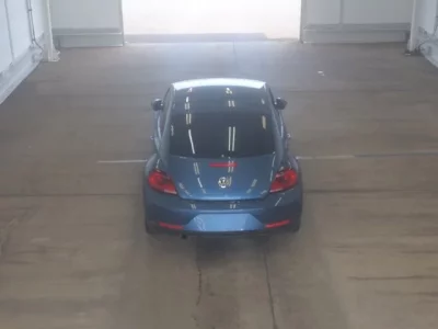 Volkswagen THE BEETLE