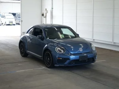 Volkswagen THE BEETLE