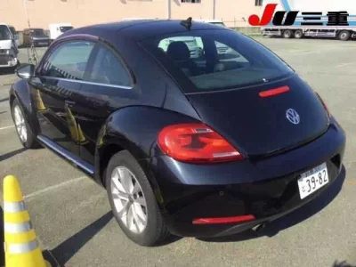 Volkswagen THE BEETLE