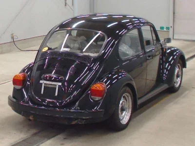 Volkswagen BEETLE