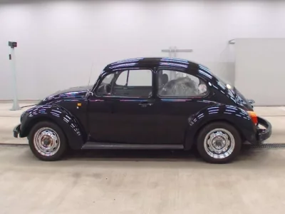 Volkswagen BEETLE