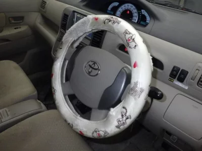Toyota RAUM