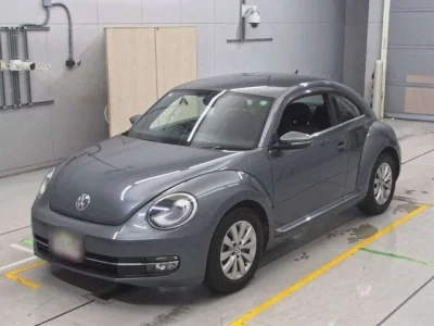 Volkswagen THE BEETLE