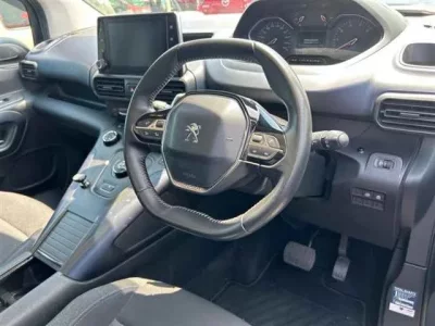 Peugeot OTHER