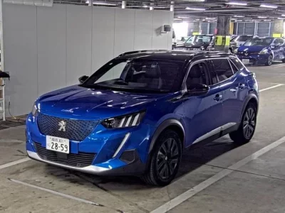 Peugeot E-2008