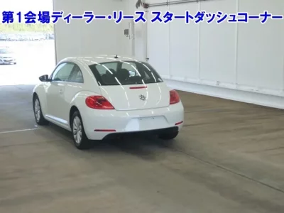 Volkswagen THE BEETLE