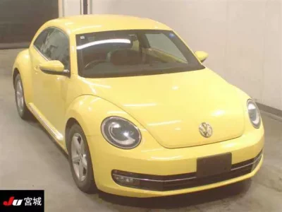 Volkswagen THE BEETLE