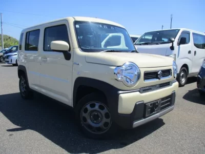 Suzuki HUSTLER