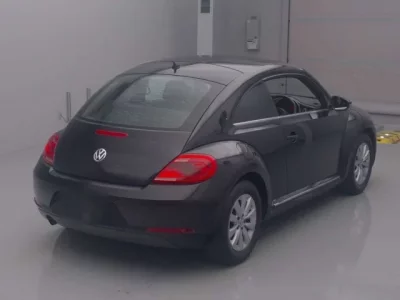 Volkswagen THE BEETLE