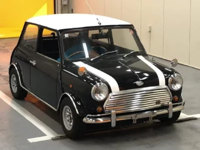 Rover MINI