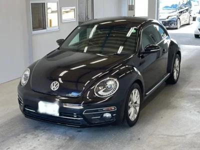 Volkswagen THE BEETLE