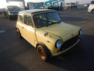 Rover MINI