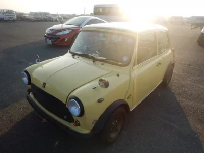 Rover MINI