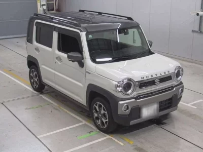 Suzuki HUSTLER