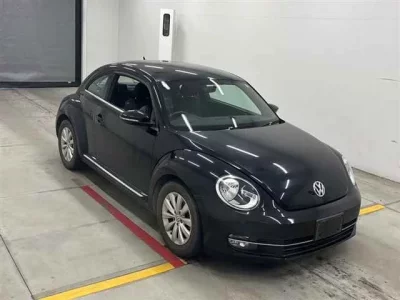 Volkswagen THE BEETLE